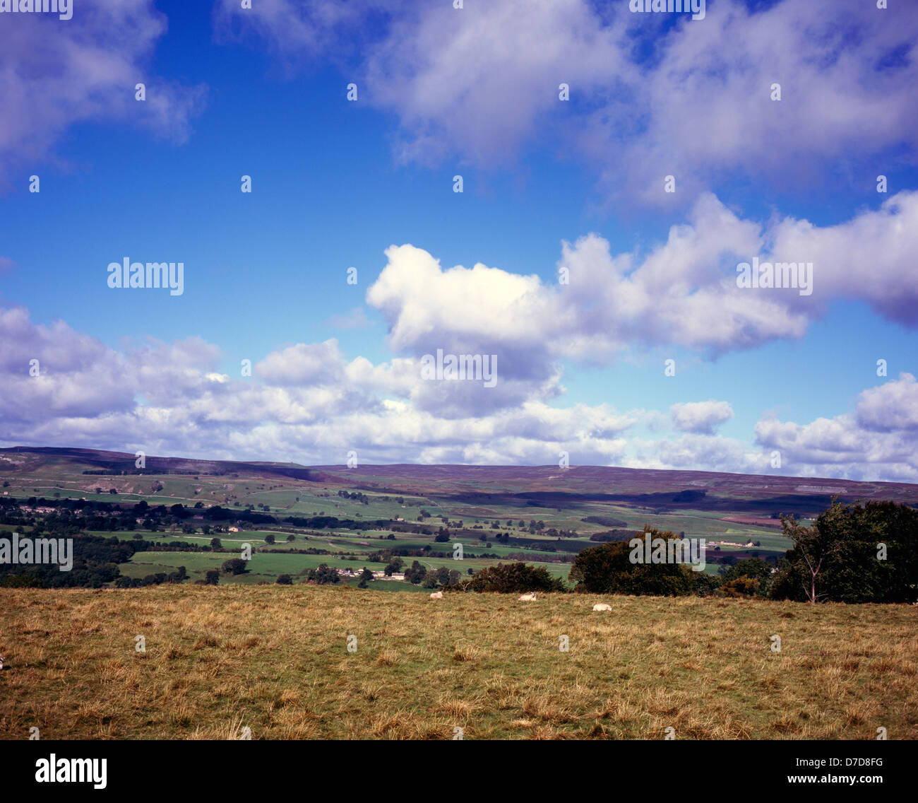 Vista su tutta Wensleydale nella direzione di Askrigg comune da Penhill Yorkshire Dales Inghilterra Foto Stock