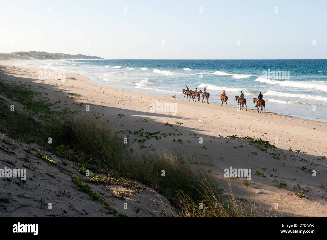 Passeggiate a cavallo sulla spiaggia, Tofo, Mozambico Foto Stock
