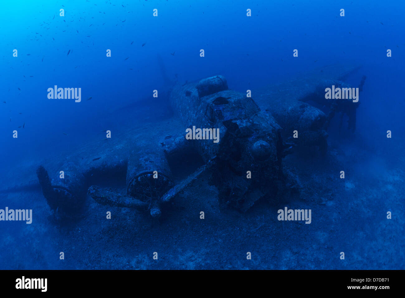 B-17 bombardiere relitto, Vis, il Mare Adriatico, Croazia Foto Stock