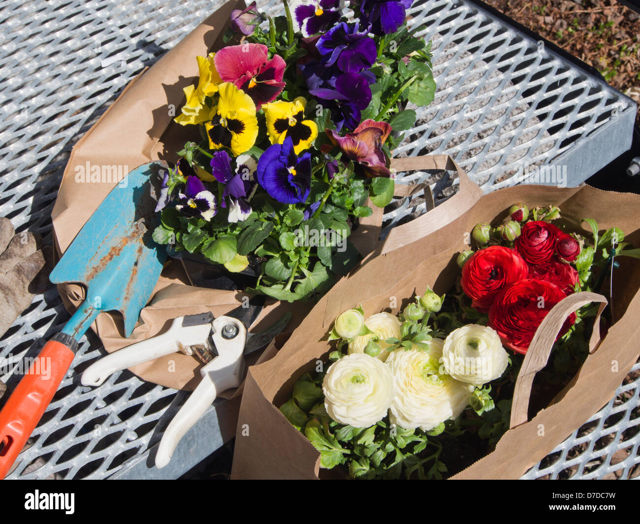 Giardino primavera funziona, potatori spade guanti e fiori da un sacchetto di carta Foto Stock