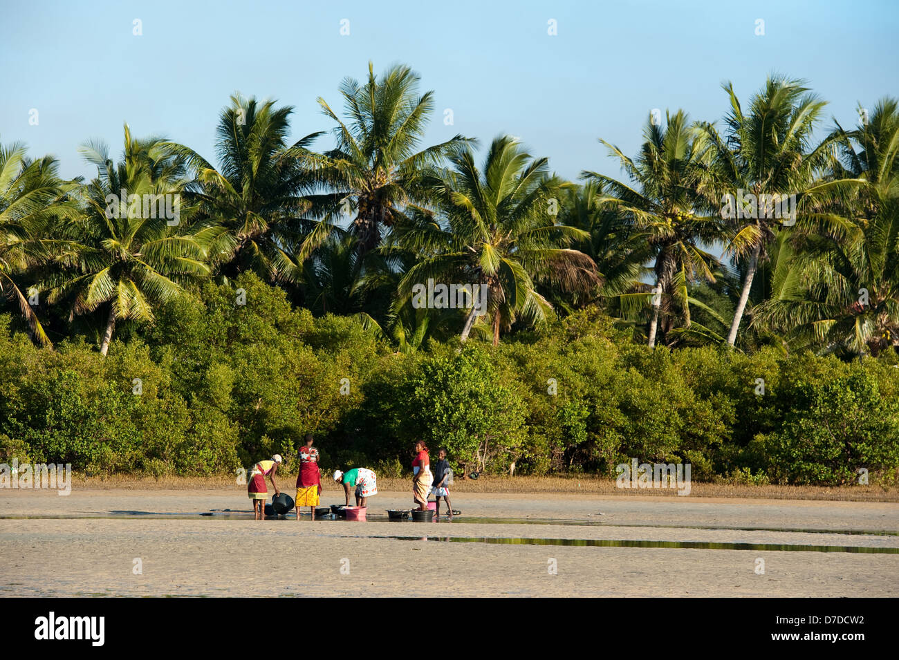 La gente di vendita del pesce sulla spiaggia, Vilanculos, Mozambico Foto Stock