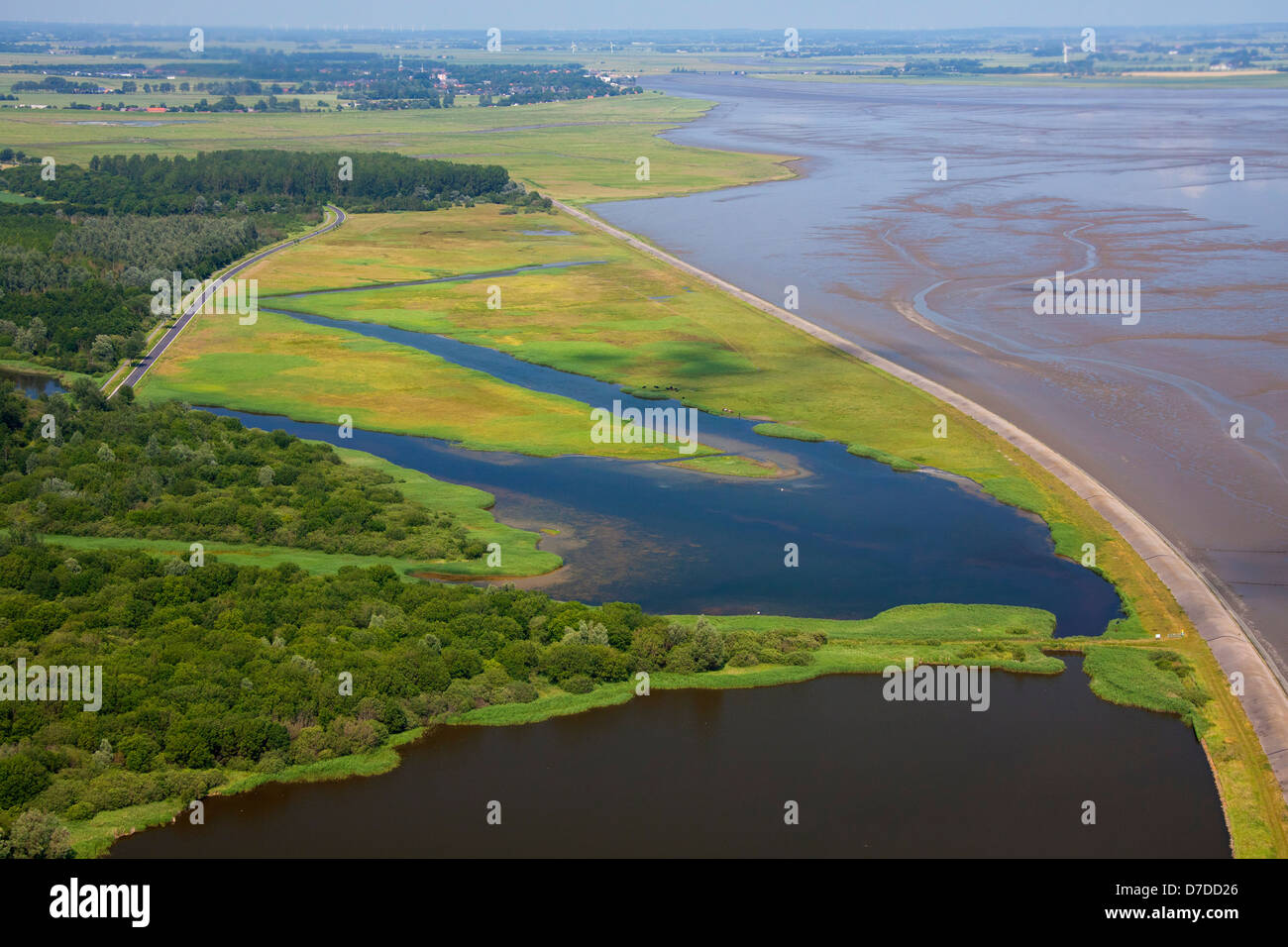 Veduta aerea della Katinger Watt, un santuario degli uccelli vicino al fiume Eider, Frisia settentrionale, Schleswig-Holstein, Germania Foto Stock