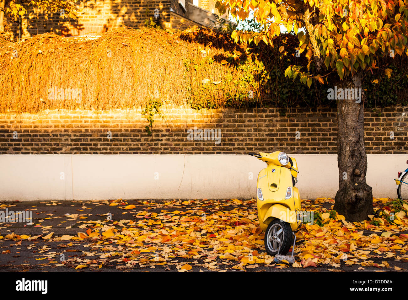 Giallo scooter in autunno sun Foto Stock