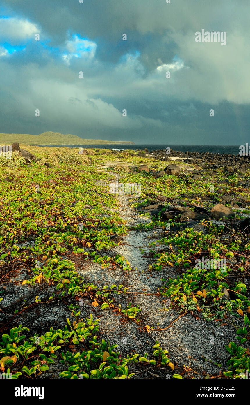 Il robusto paesaggio vulcanico della costa sud di San Cristobal Island. Foto Stock