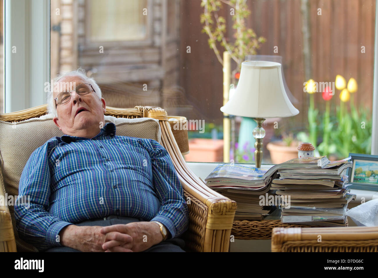 80 anno vecchio snoozing nel suo Conservatorio durante il pomeriggio, England, Regno Unito Foto Stock