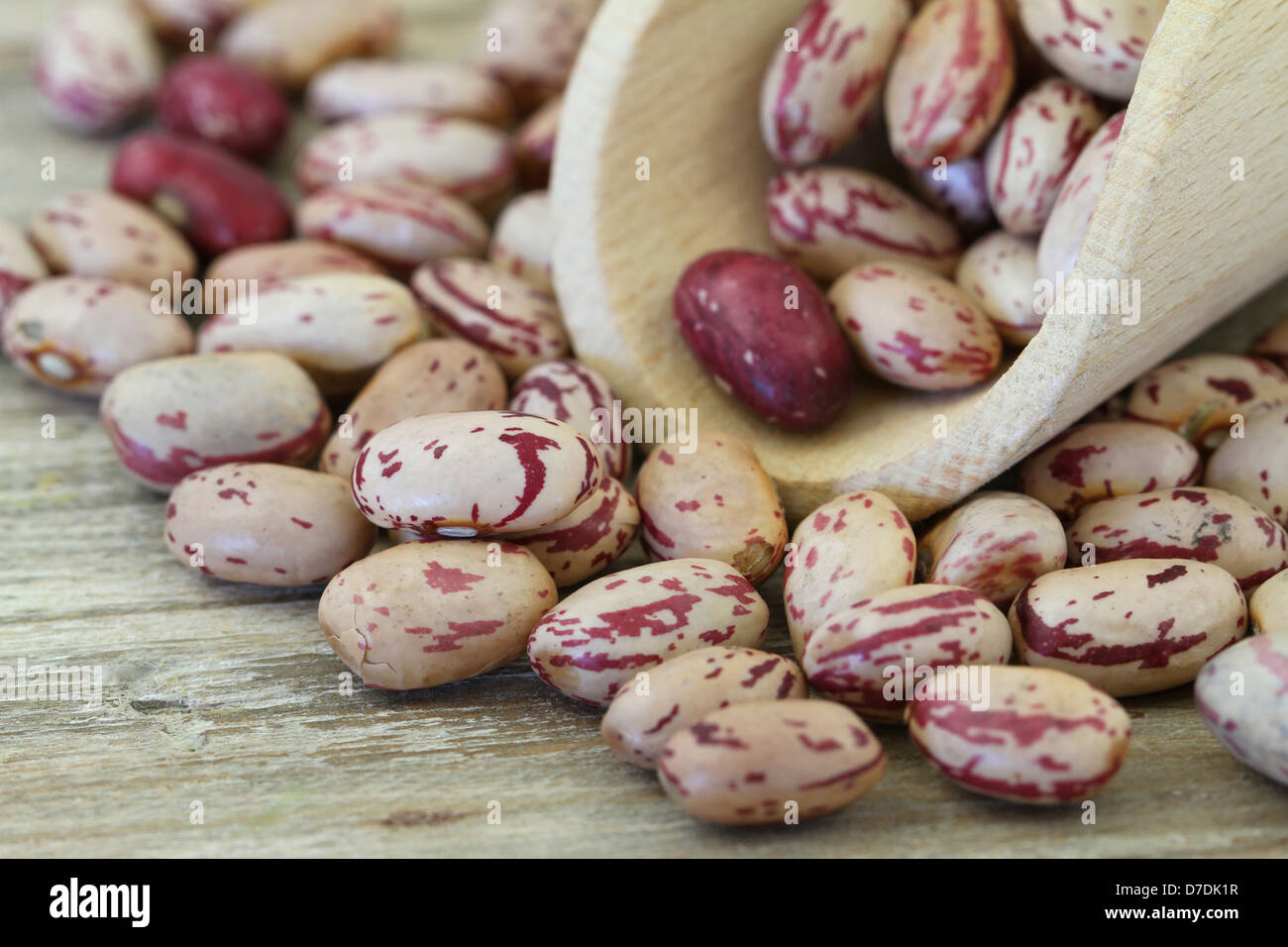 Macchie di colore bianco-rosso fagioli sul cucchiaio di legno, close up Foto Stock