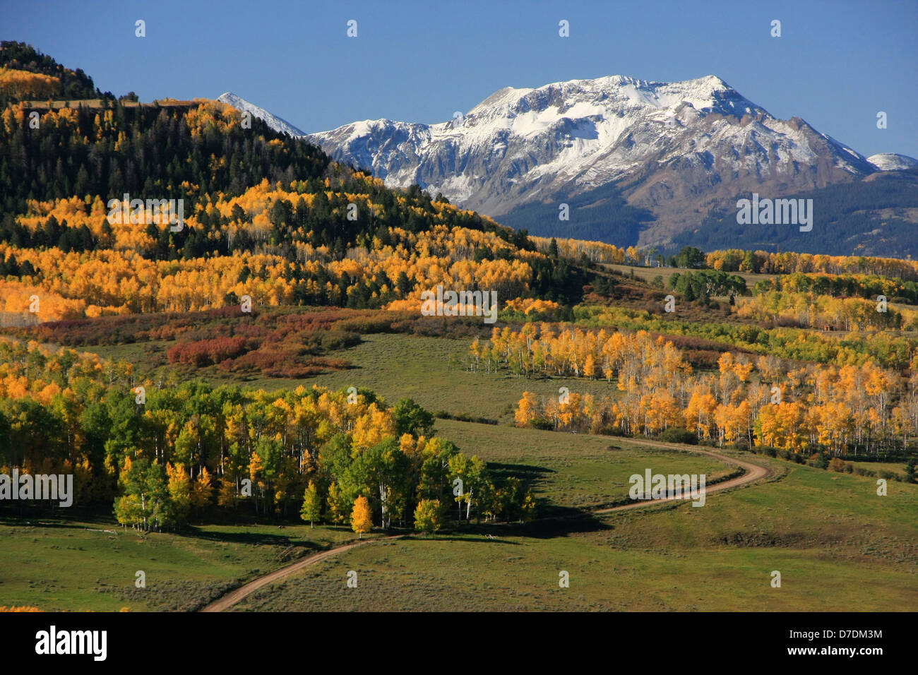 New Scenic 5 posti lungo ultimo dollaro Road, Colorado, STATI UNITI D'AMERICA Foto Stock