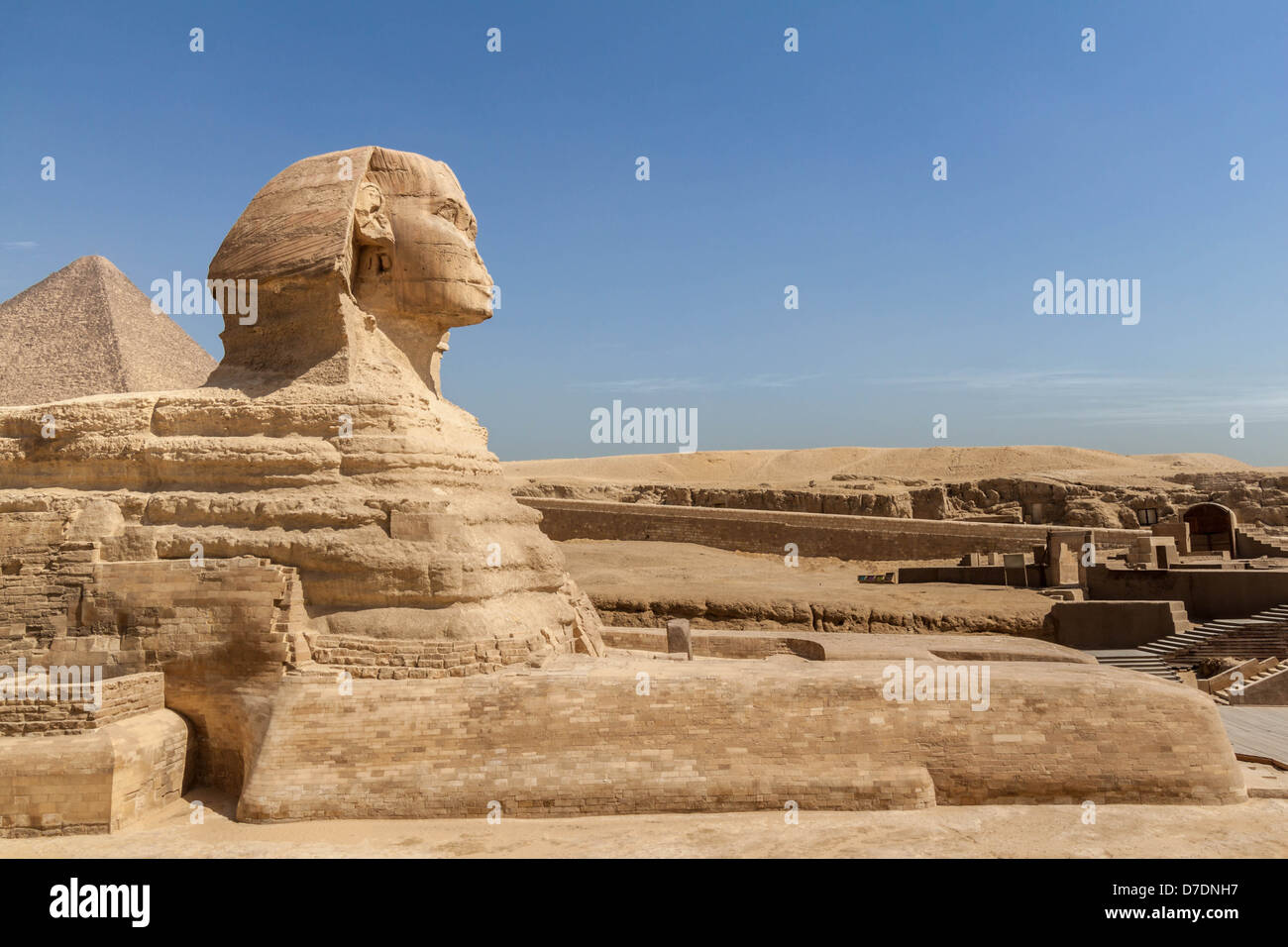 La Grande Sfinge di Giza in Egitto Foto Stock