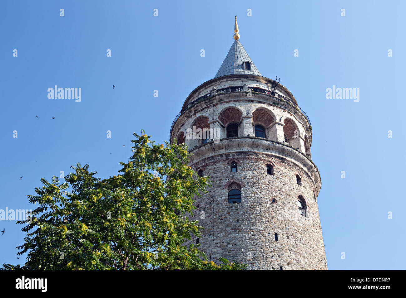 Torre di Galata, Istanbul, Turchia Foto Stock