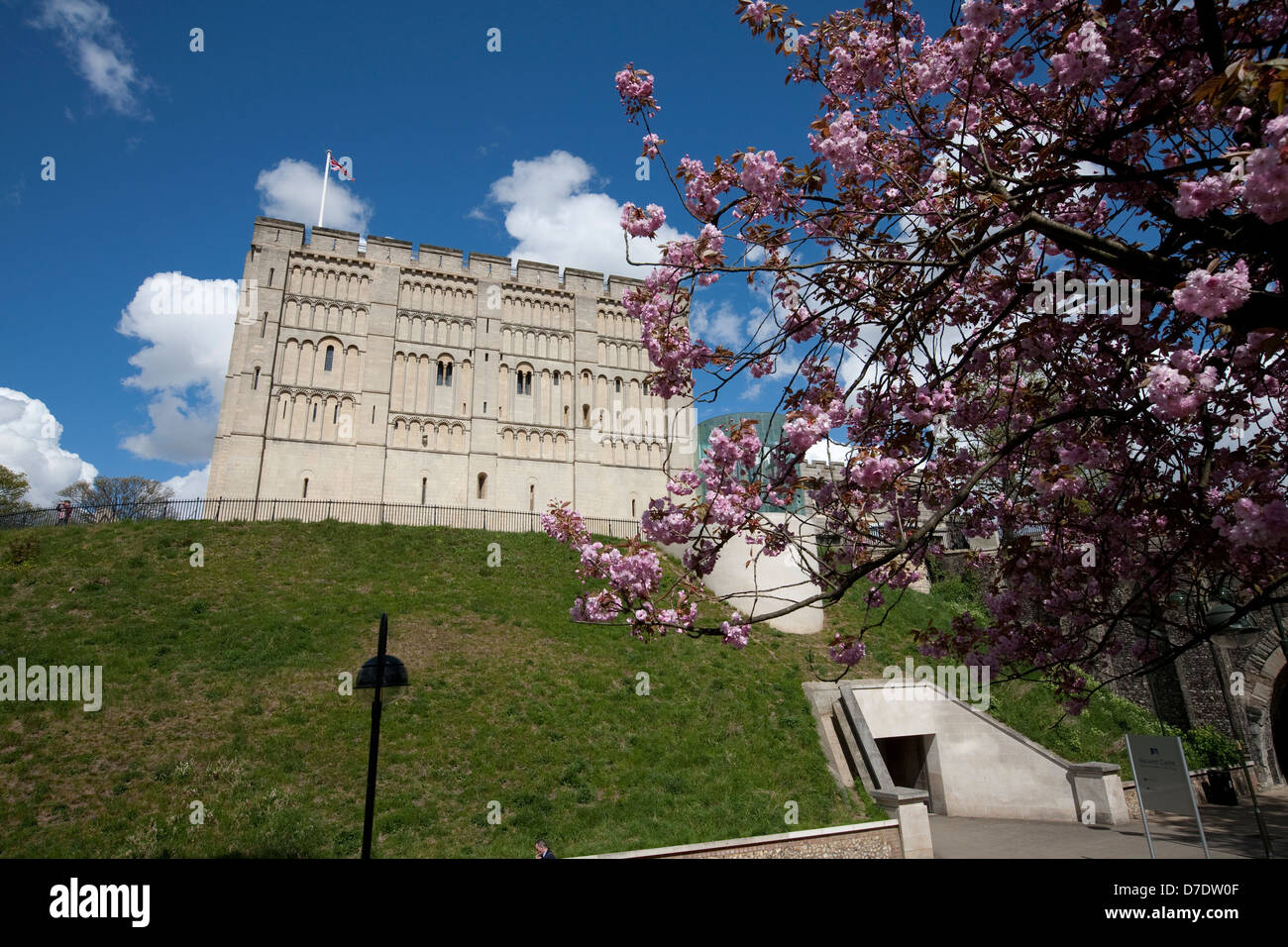 Il castello di Norwich Norfolk Foto Stock