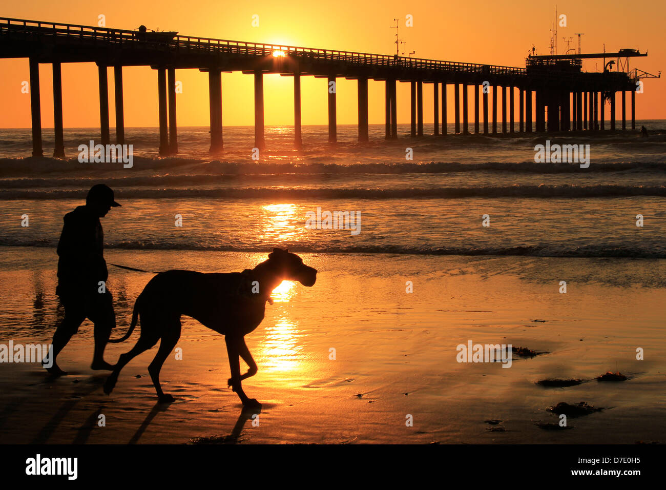 Silhouette di Istituto Scripps di Oceanografia pier, San Diego, California, Stati Uniti d'America Foto Stock