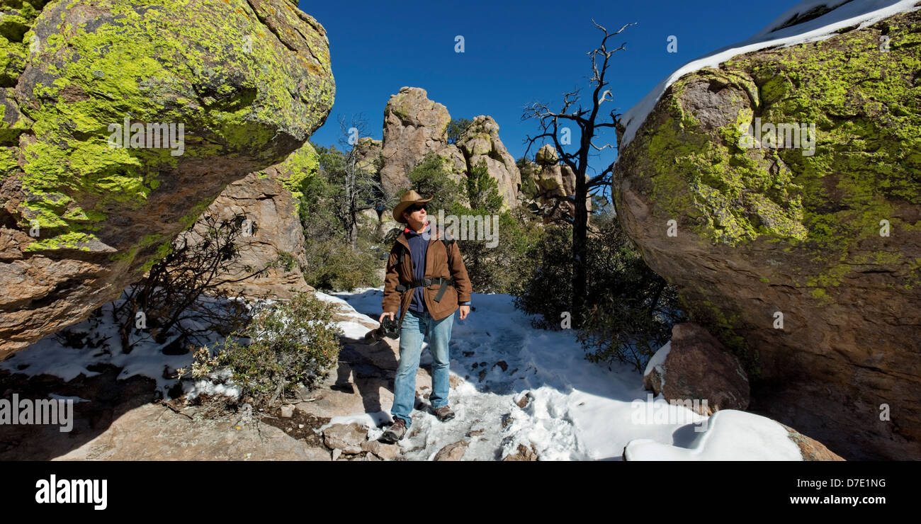 Terra di Standing-Up rocce vulcaniche di riolite deposizione, Chiricahua National Monument in Arizona Foto Stock