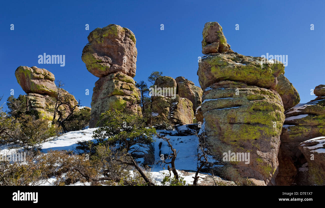 Terra di Standing-Up rocce vulcaniche di riolite deposizione, Chiricahua National Monument in Arizona Foto Stock