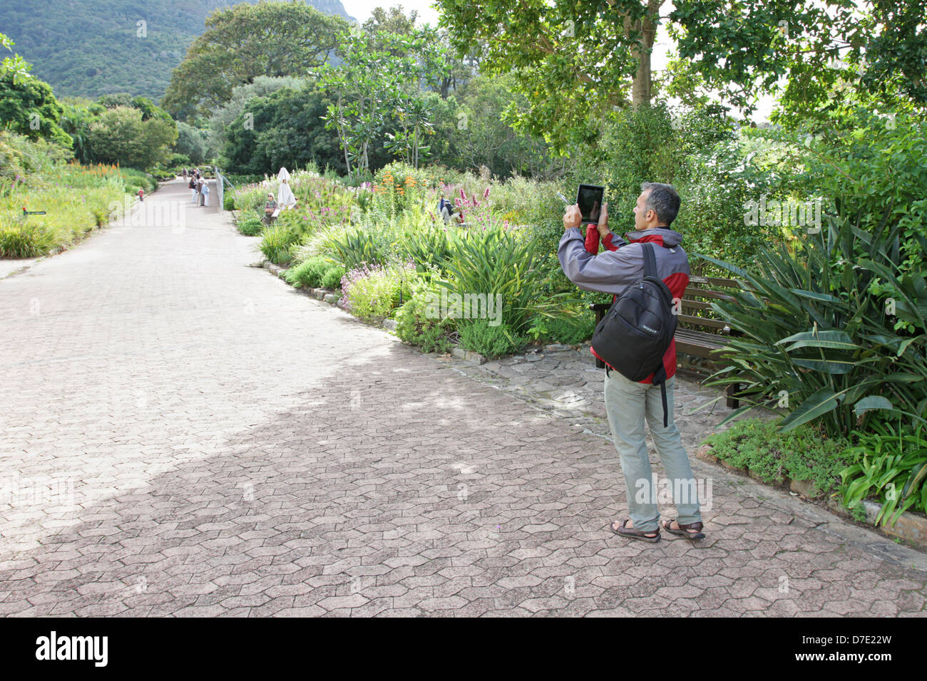 Uomo di prendere foto con iPad ha bella Kirstenbosch giardini di Città del Capo in Sud Africa Foto Stock