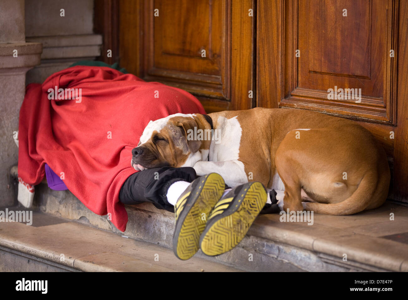 La persona senza dimora e il suo cane dorme sulle strade di Londra Inghilterra Foto Stock