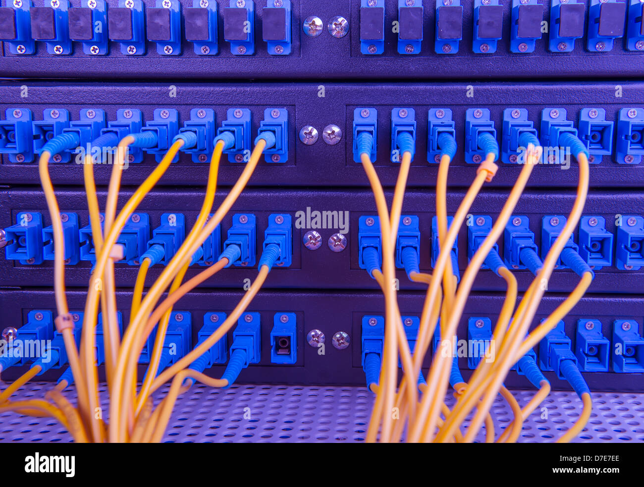 In fibra ottica e server hardwares in un Internet data center Foto Stock