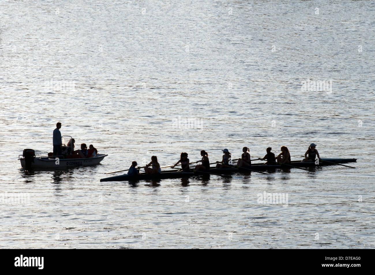 Silhouette di ladies team di canottaggio sul fiume Potomac a Washington DC Foto Stock