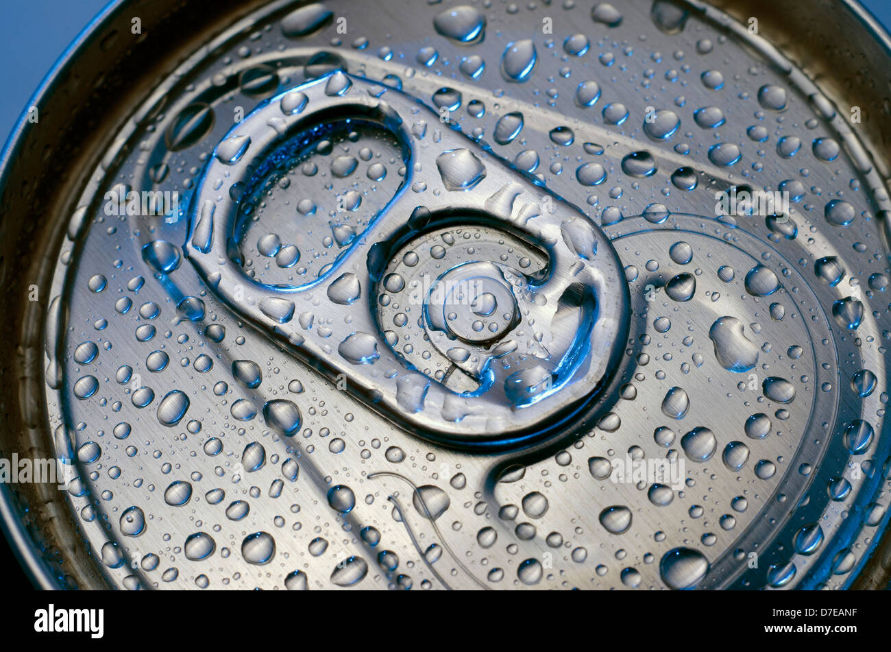 Può bere con gocce d'acqua. Foto Stock