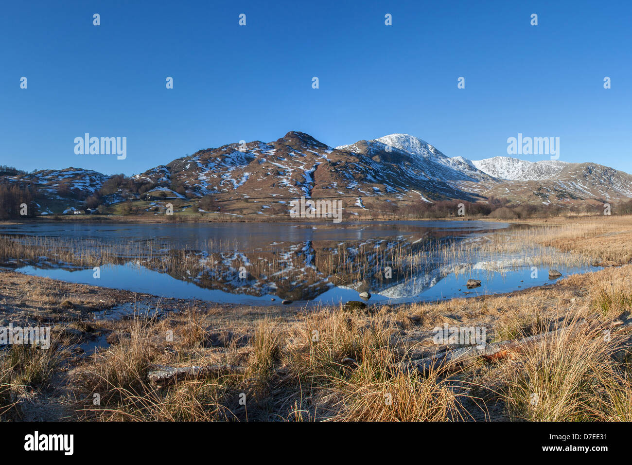 Little Langdale Tarn riflessioni, Lake District inglese Foto Stock