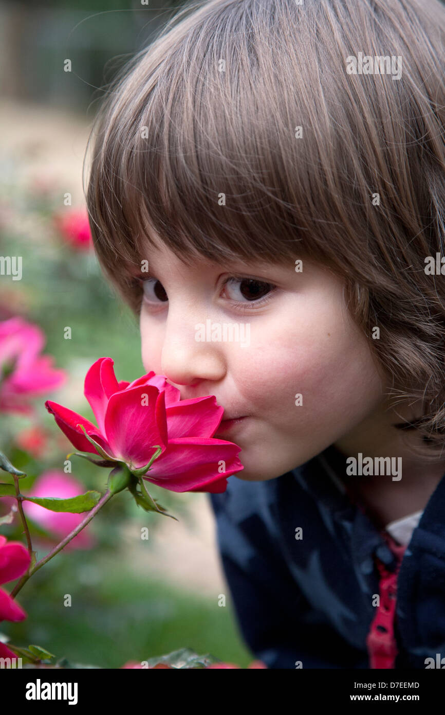 Giovane ragazzo in odore di rose. Foto Stock