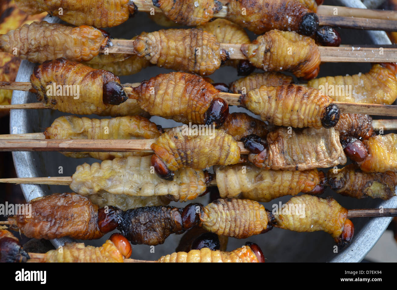 Suri - un grub amazzonica che alimenta su palm sap, cotta alla griglia e servita come uno snack food a Iquitos, Perù Foto Stock