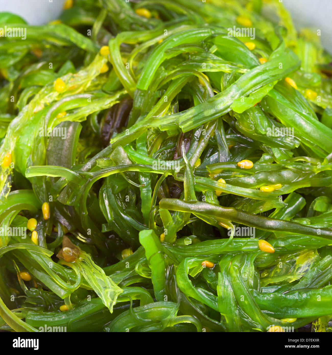 Chuka insalata - insalata di alghe marine cosparso con semi di sesamo close up Foto Stock