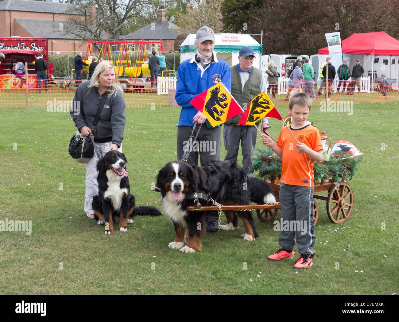 Una famiglia dalla Pennine Oberland carradori con loro Bernese cani di montagna in mostra Ring a Preston Park Stockton on Tees Foto Stock