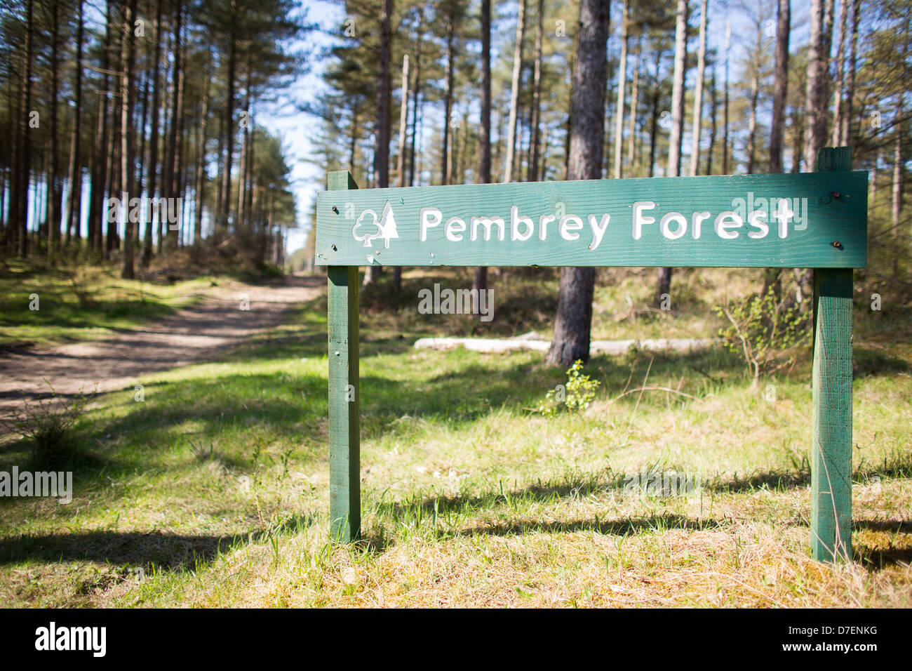 Il verde di legno verniciato segno per Pembrey foresta con alberi in background. Il country park è al di fuori del Llanelli, Galles del Sud Foto Stock