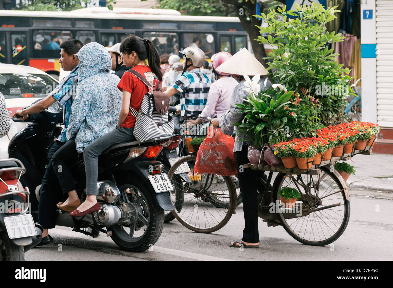 Hanoi, Vietnam - Un fiore femmina venditore indossando un tradizionale cappello conico su una bicicletta nel traffico Foto Stock