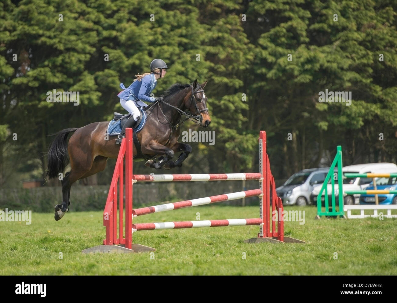 Helston, UK. Il 6 maggio, 2013. Cavallo e cavaliere circa per passare a Helston la Flora dell evento Horseshow Credito: Bob Sharples/Alamy vivere nuove Foto Stock