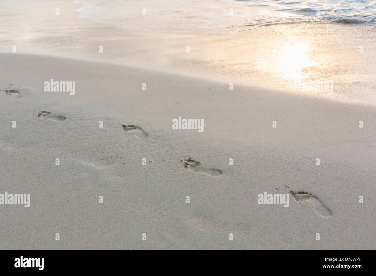 Impressioni di passi nella sabbia in spiaggia Foto Stock