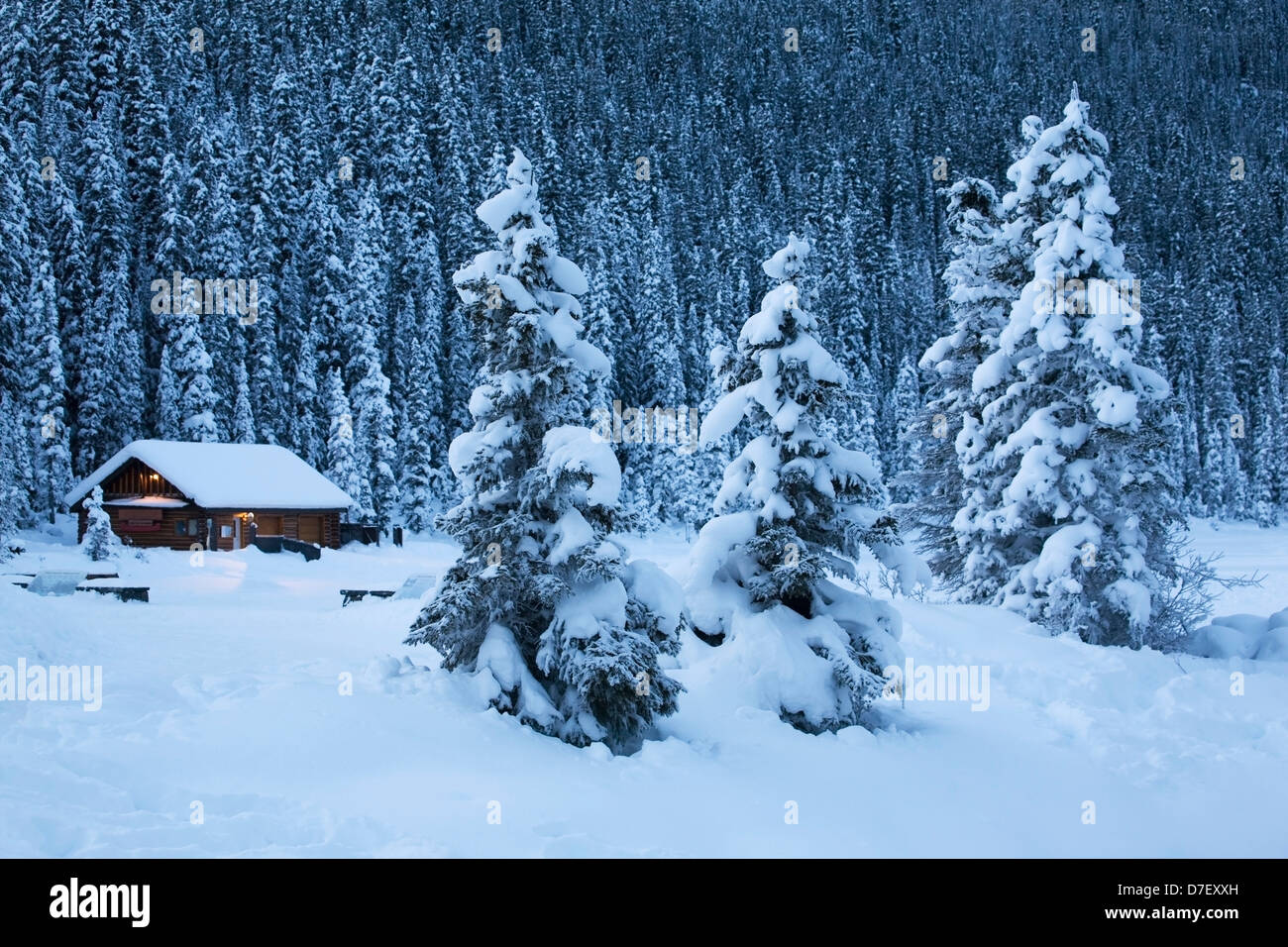 Coperta di neve alberi sempreverdi con una coperta di neve log cabin in background al crepuscolo;Lake Louise Alberta Canada Foto Stock