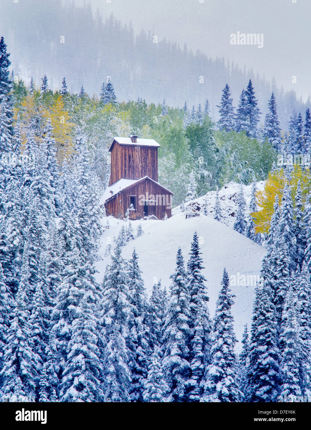 Struttura di data mining con nuova nevicata e caduta aspens colorati. Uncompahgre National Forest, Colorado Foto Stock
