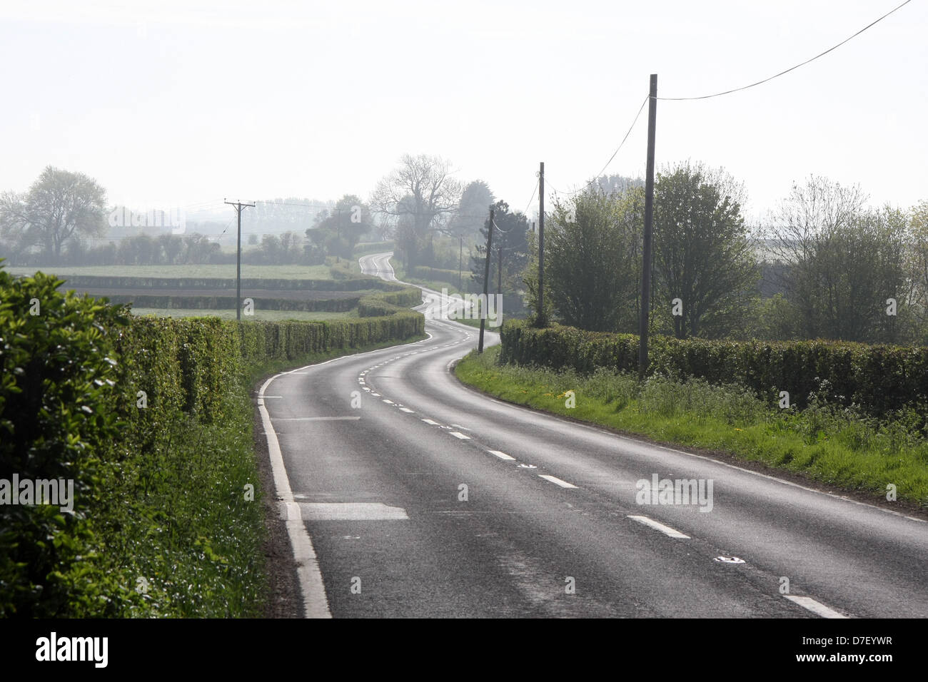 La mattina presto strada tortuosa, senza traffico, tra marchio e Wedmore, Maggio 2013 Foto Stock