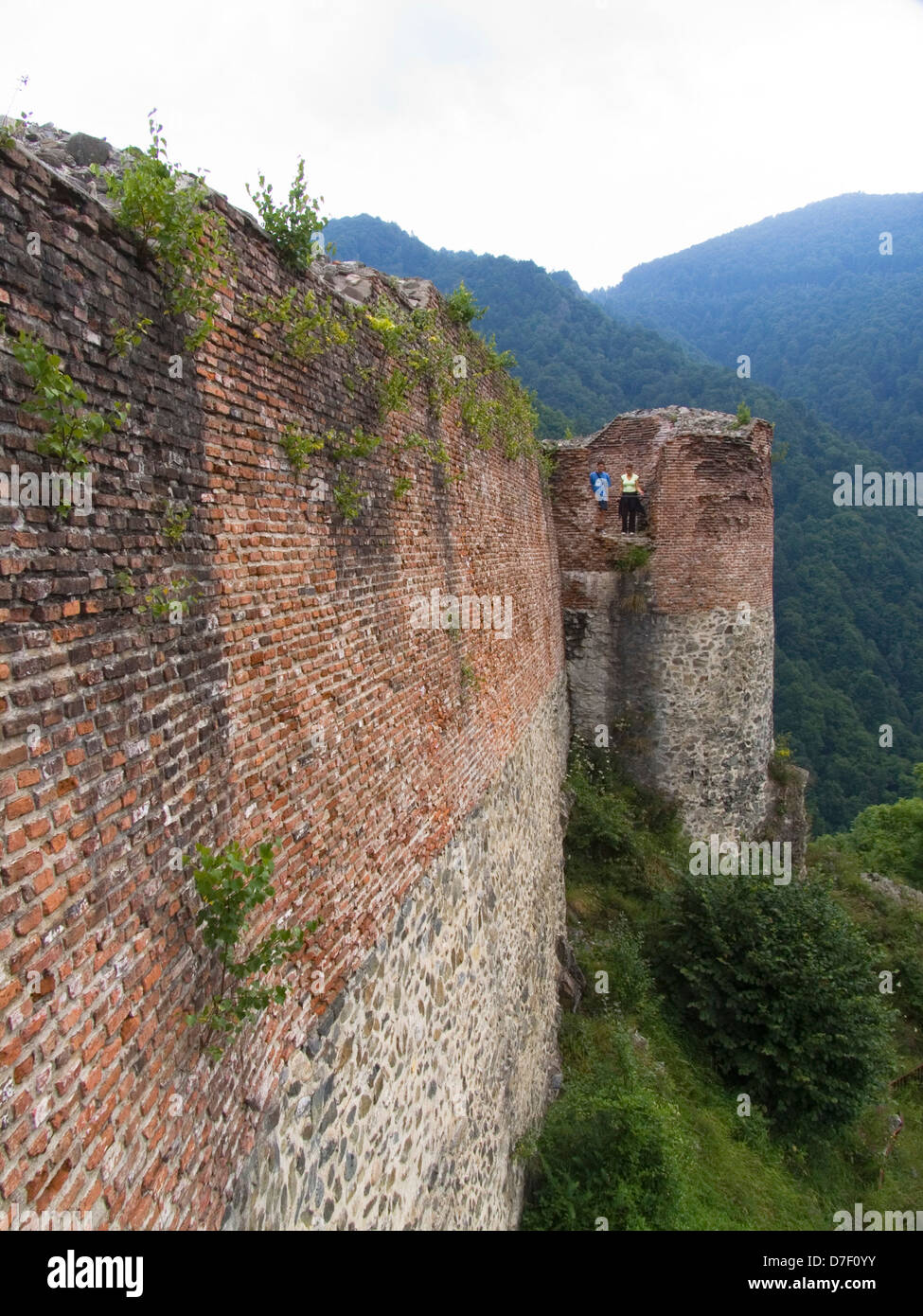 L'Europa, Romania, Valacchia, Monti Fagaras, lungo la strada transfagarasan, castello di poienari, il castello di drakula Foto Stock