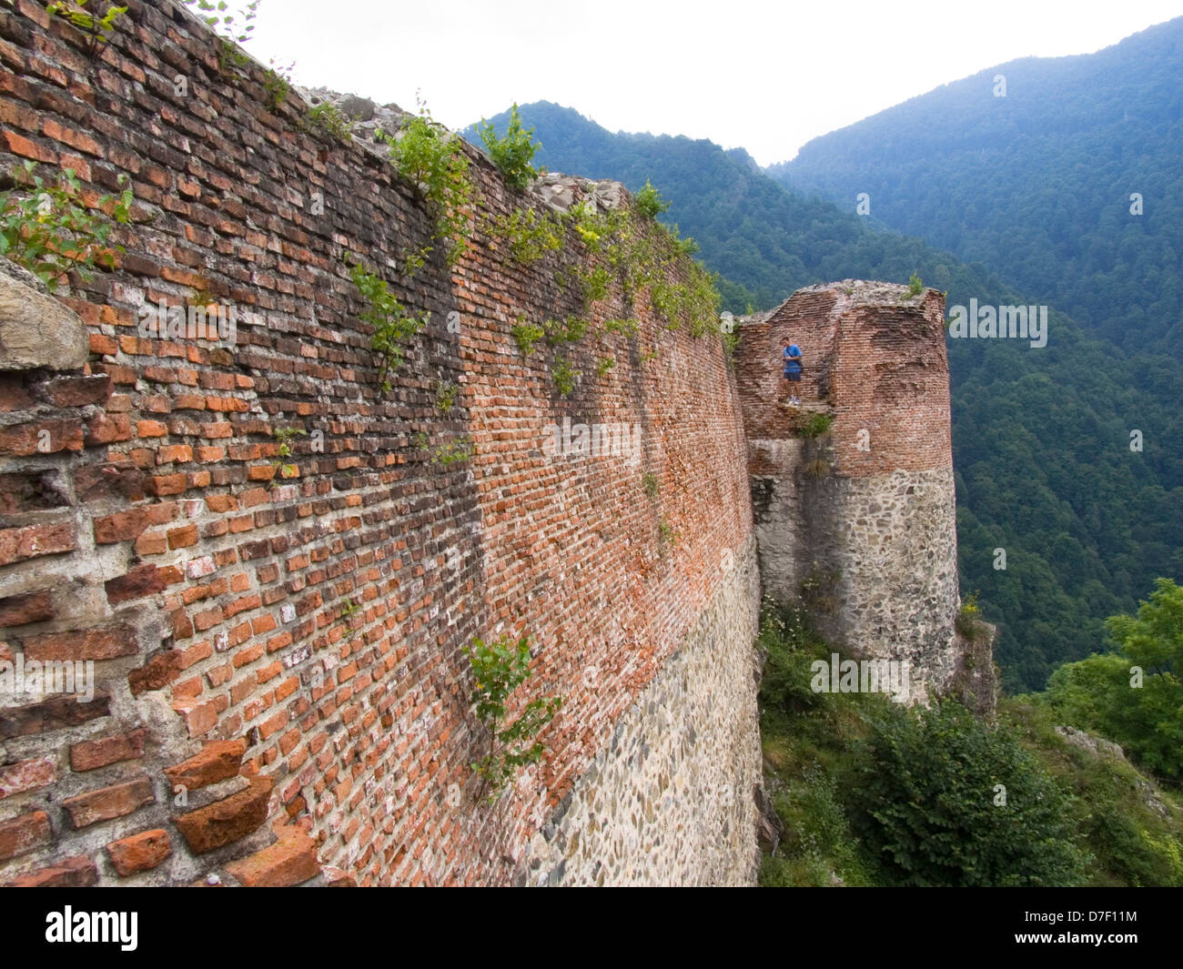 L'Europa, Romania, Valacchia, Monti Fagaras, lungo la strada transfagarasan, castello di poienari, il castello di drakula Foto Stock