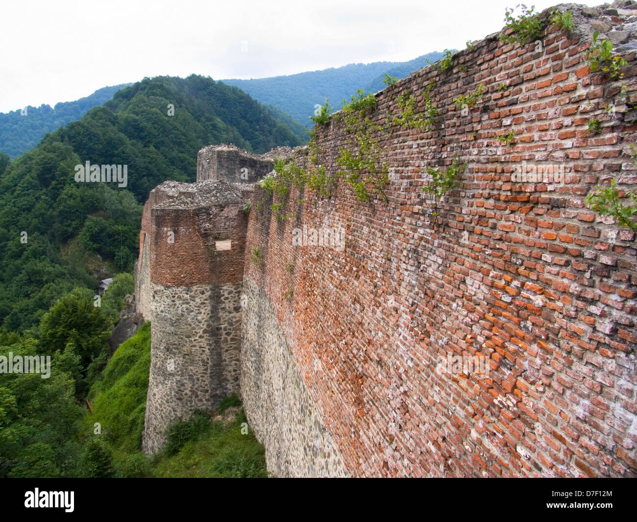 L'Europa, Romania, Valacchia, Monti Fagaras, lungo la strada transfagarasan, castello di poienari, il castello di drakula Foto Stock