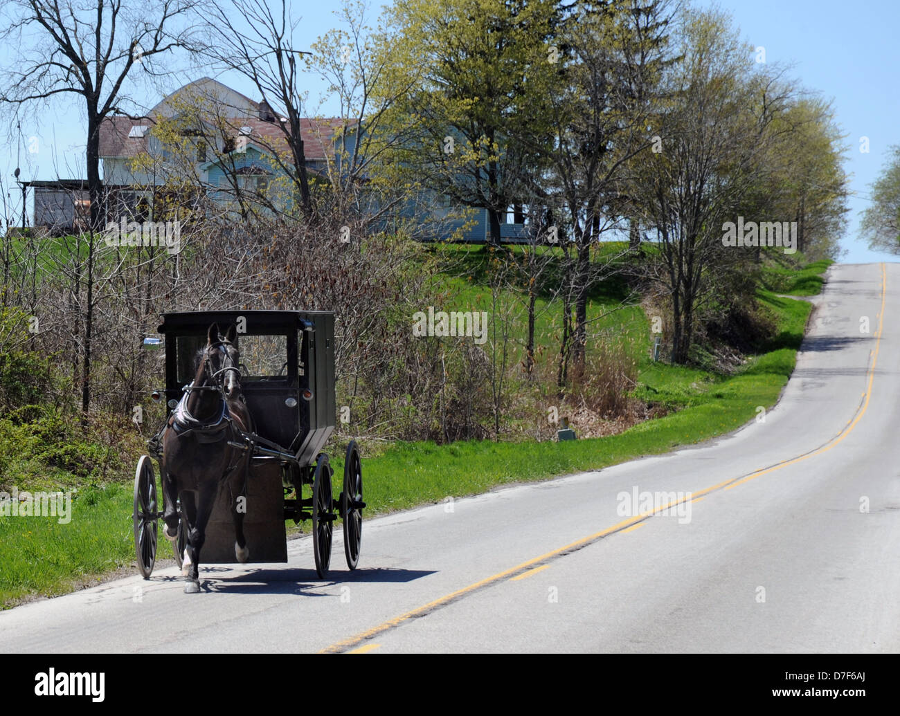 Pennsylvania Dutch cavallo e buggy indietro le strade di Lancaster County in Pennsylvania, Amish,Quaker,buggy,carrello,Pennsylvania olandese, Foto Stock