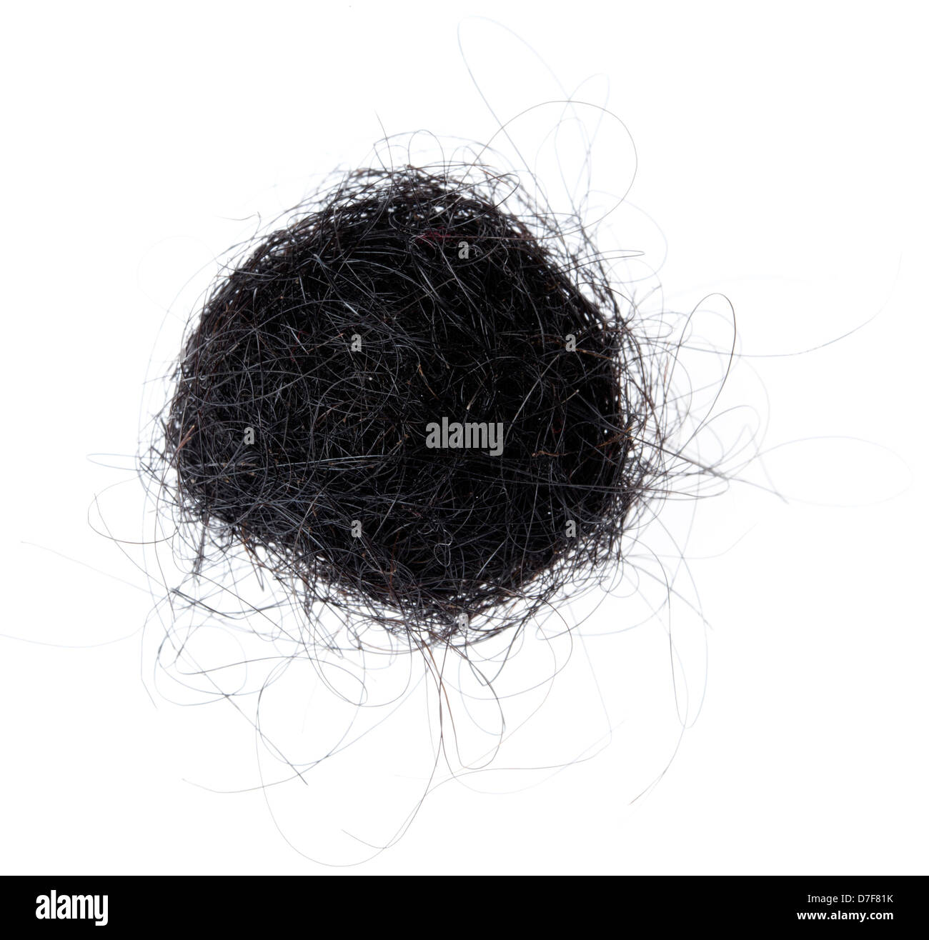 Stretto intrico di nero capelli umani su sfondo bianco. Foto Stock