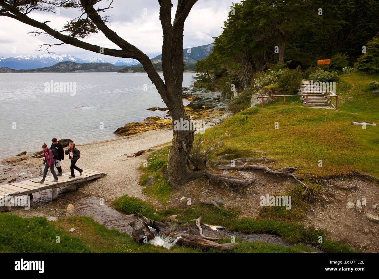 Il sentiero costiero, Tierra del Fuego National Park, Ushuaia, Argentina. Foto Stock