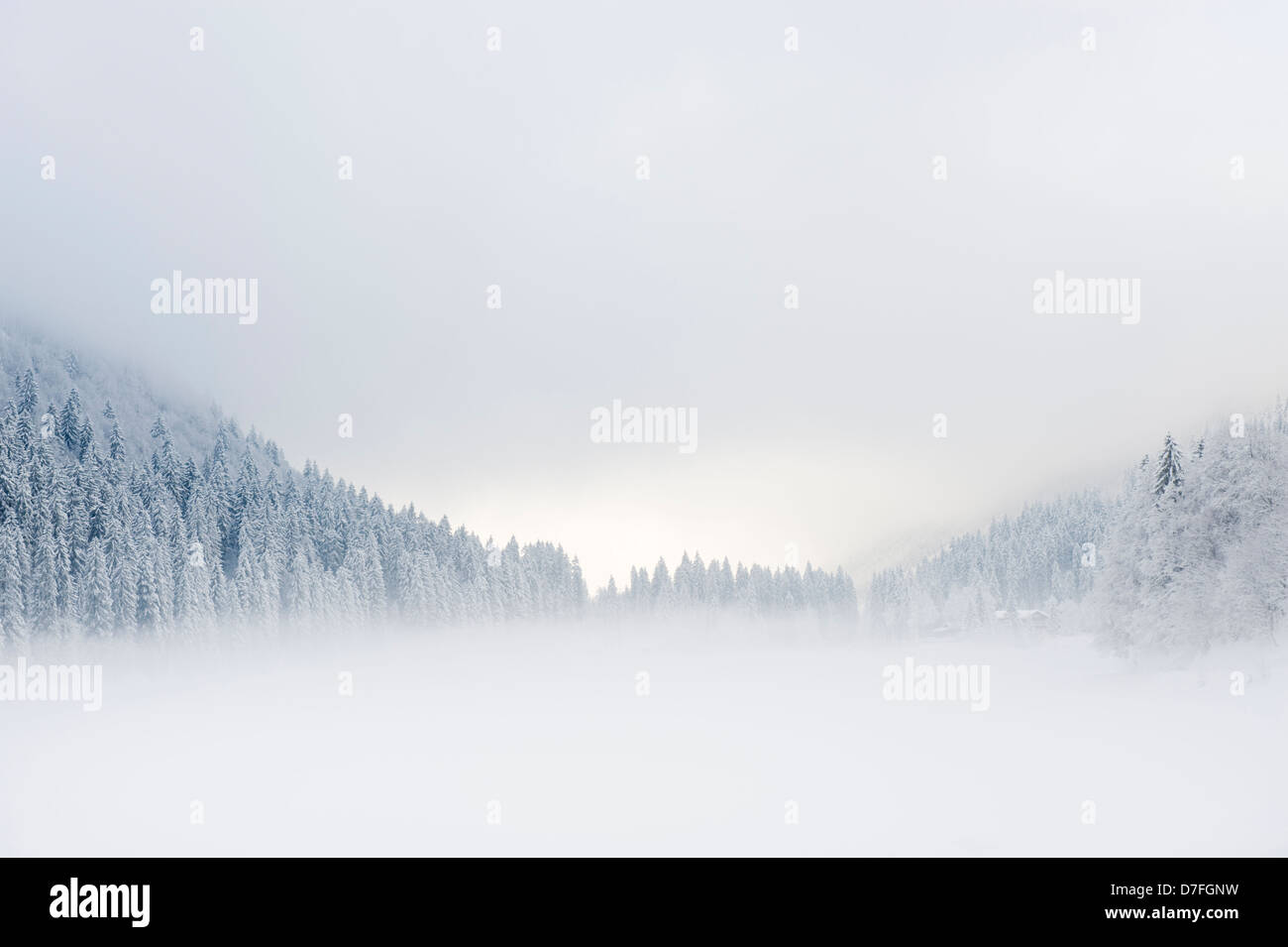 Paesaggio di montagna con il lago e la foresta del pino in inverno, coperto di neve, Haute Savoie, Francia. Foto Stock