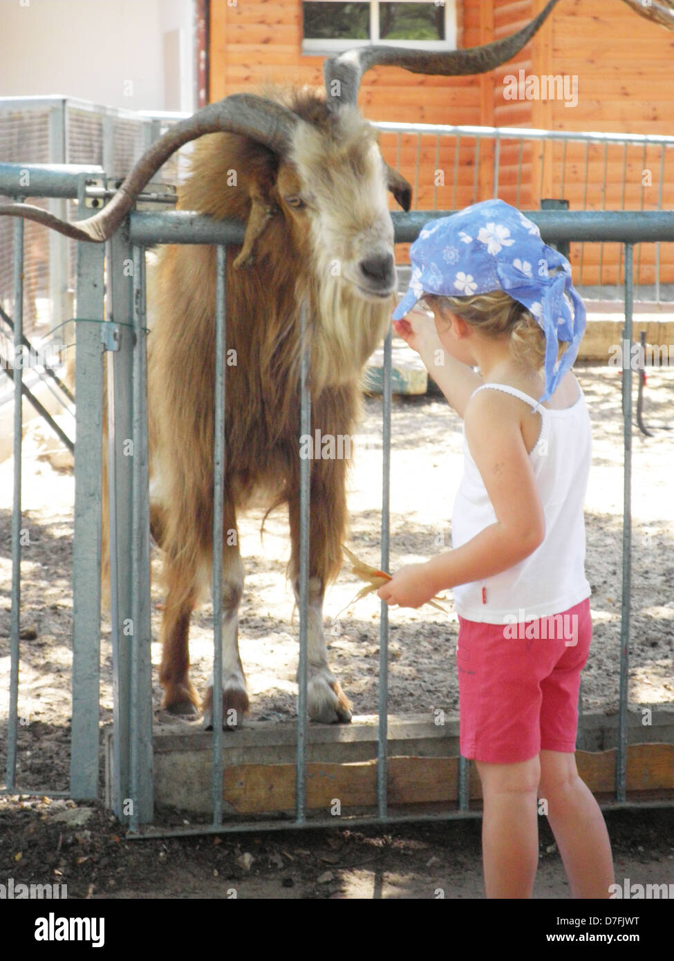 Alimentazione bambino un He-Goat presso il Villaggio dei Bambini In Karmiel Foto Stock