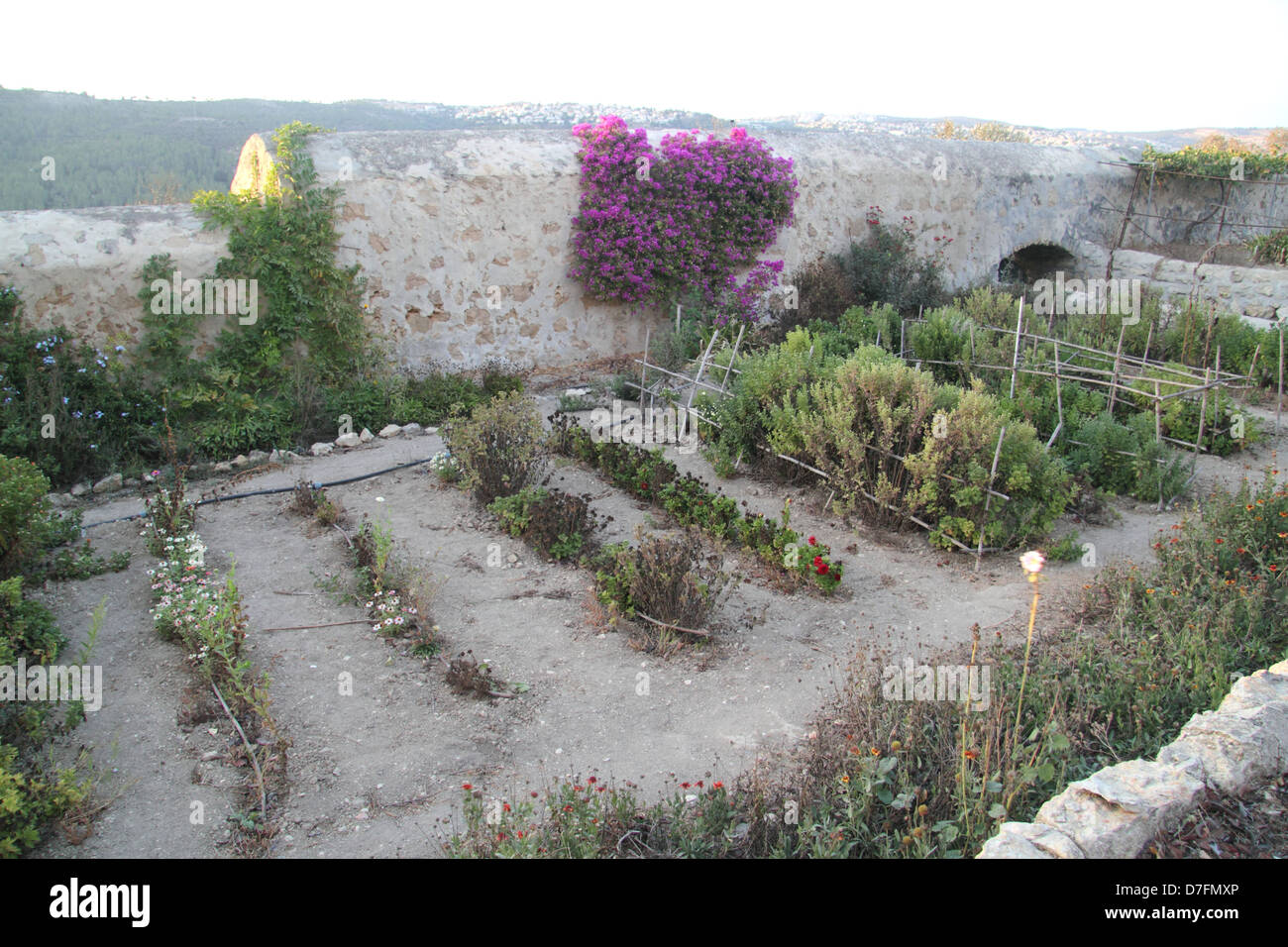 Orto biologico presso il monastero delle Suore di Nostra Signora di Sion in Ein Kerem di Gerusalemme Foto Stock