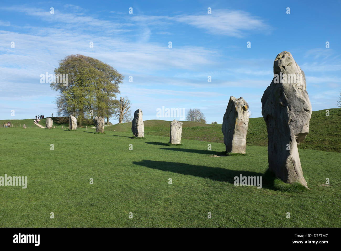 Circolo di pietra di Avebury Foto Stock