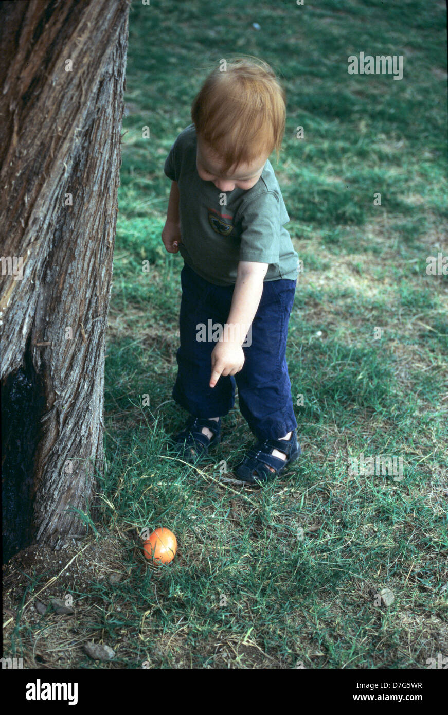 Il Toddler Uovo di Pasqua Caccia, puntando a uovo di pasqua in erba da un albero Foto Stock