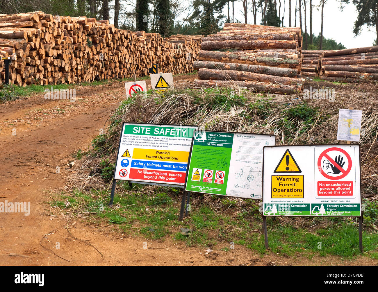 La salute e i cartelli di sicurezza al di fuori del sito di selvicoltura, Thetford Forest, Norfolk, Inghilterra Foto Stock