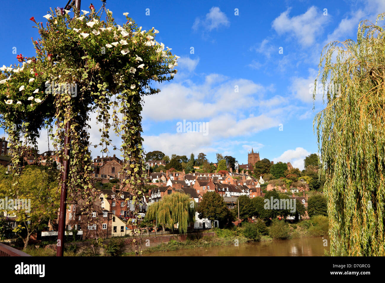 8836. Bridgenorth e R Severn, Shropshire, Inghilterra, Regno Unito Foto Stock