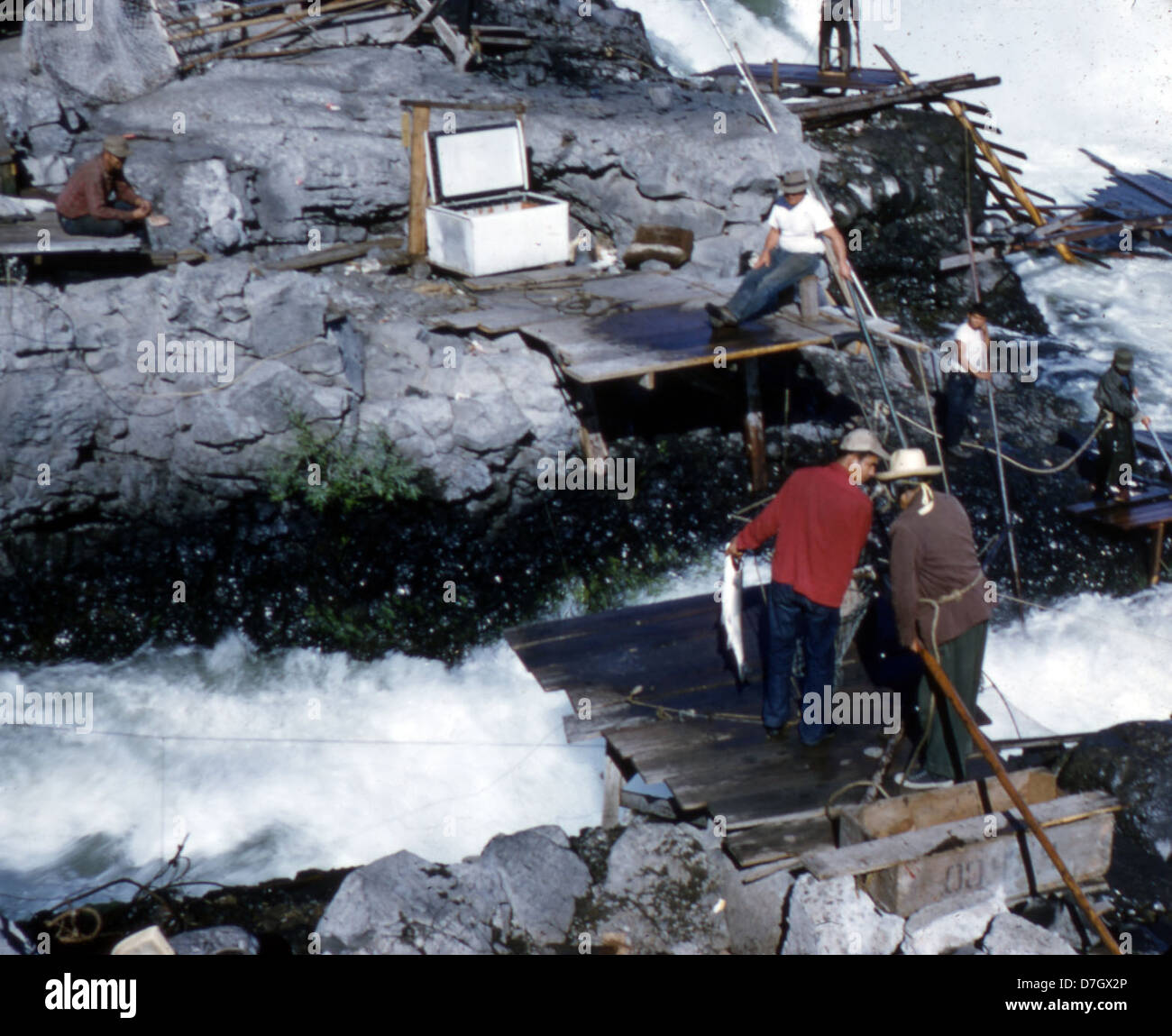 Questa fotografia storica cattura i pescatori delle Celilo Falls sul fiume Columbia, un luogo importante per le pratiche di pesca dei nativi americani. Preso da Gerald W. Williams, riflette i metodi tradizionali usati dalle comunità indigene del Nord-ovest Pacifico. L'immagine fa parte della collezione Jack Williams presso l'Oregon State University Archives. Foto Stock