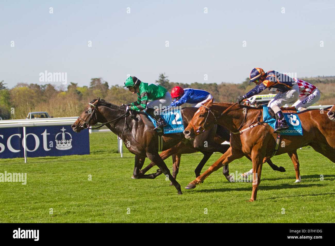 Le corse di cavalli in Ascot Foto Stock