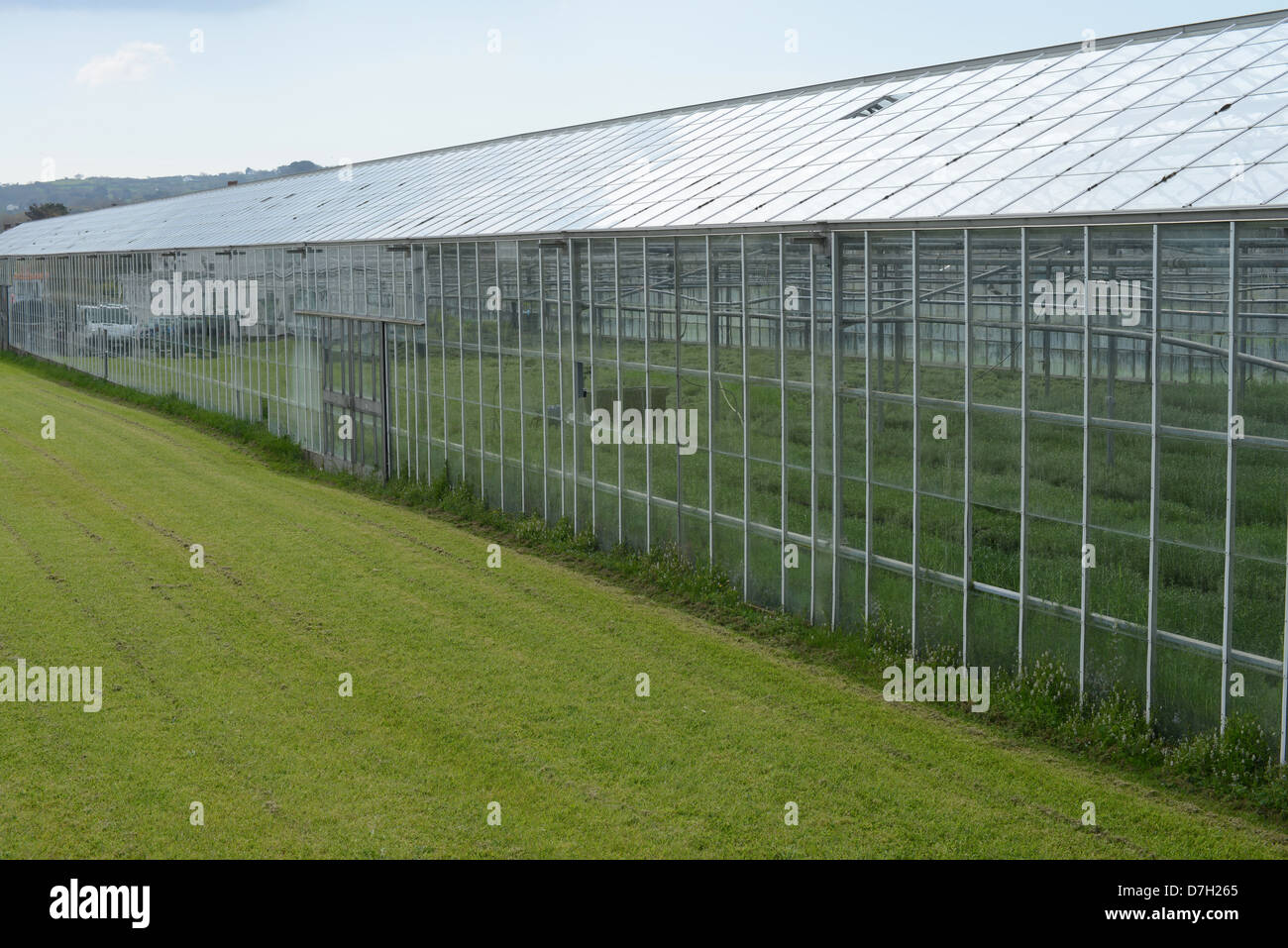 Serra commerciale Foto Stock